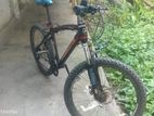 Duranta 24" gear cycle