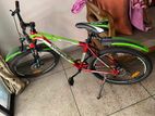 Duranta 24 Inch Cycle for sell