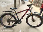 Duranta 26" bicycle
