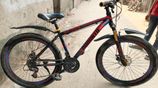 Duranta 26" bicycle