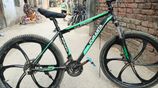 Duranta 26" cycle