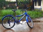 Duranta bicycle (Avenger)