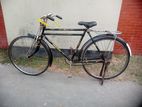 Duranta Bicycle for sale