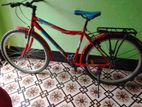 Duranta bicycles 24"