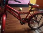 Duranta Bycycle 20 Inch