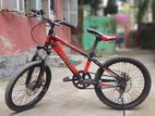 Duranta Cycle 19 Size (Kids Cycle)