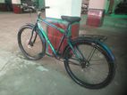 Duranta cycle for sale