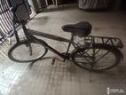Duranta Cycle Non Gear