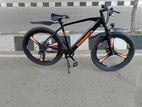 DURANTA E-Rider 201 Electric Cycle