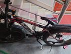 Duranta Fat Bike