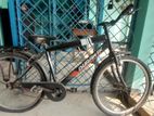 Duranta cycle for sale