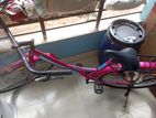 Duranta Ladies Bicycle