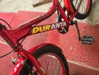 Duranta Mini Cycle 20 Size