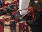 Duranta Muscular Non Gear 24 Inch Bicycle