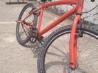 Duranta muscular red 24' CYCLE