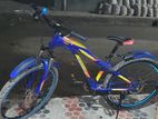 Duranta non gear cycle for sale