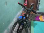 Duranta Bicycle for Sale