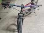 Duranta X800 Gear Cycle
