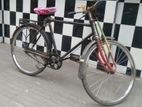 Bicycle for sell