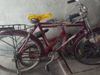 Bicycle for sell