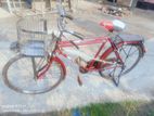 Duranta Bicycle For Sale