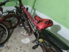 Duranta Bicycle for sale