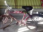 Bicycle for sale