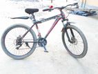 Duranta Bicycle For Sale