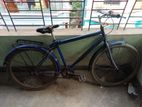 Duronto Bicycle for sell
