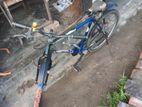 Bicycle for sell