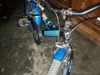Duronto Cycle