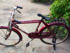 Bicycle for sell