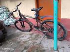 Bicycle for sell