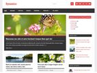 Dynamic Website with USA Domain & Hosting