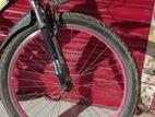Express Bicycle for sale