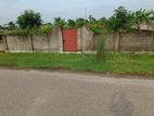 East Face 3 Katha Plot Near 75ft road. In sec# 23, Road# 407.