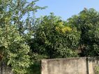 East face 5 Katha SALE @ Sector- 23 || Purbachal
