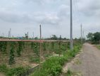 East Facing 3 Katha Sale On 54ft Road @ Sector- 23