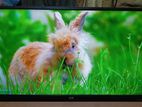 ECO+ ANDROID SMART 4K TV