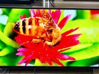 Eco+50" Inch Smart TV Dubble Glas