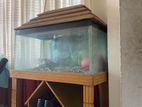 Aquarium for sell