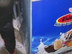 এই ডিপ ফ্রিজটি বিক্রি করা হবে। Deep Fridge for sale |