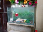 এই একুরিয়ামটি বিক্রি করা হবে