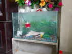 এই একুরিয়ামটি বিক্রি করা হবে