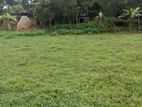 এই জমিটি বিক্রি করা হবে,