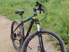 Phoenix Bicycle for sale