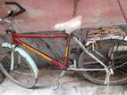 Bicycle for sell