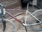 Bicycle for Sale