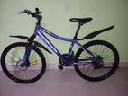 Bicycle for sale