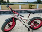 এই সাইকেল টি বিক্রি করা হবে। (ফ্যাট বাইক)